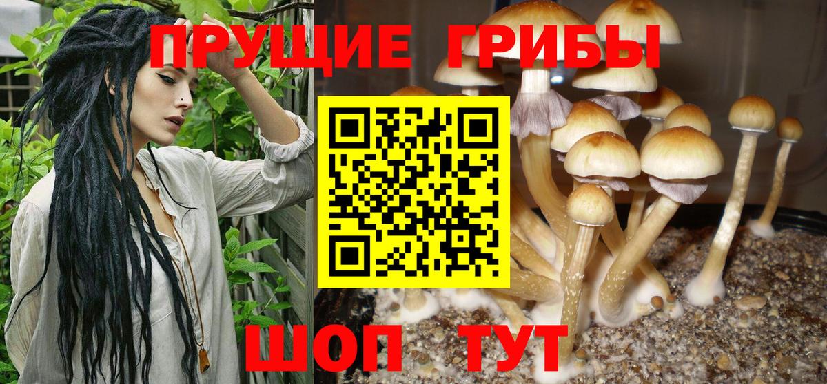 Галлюциногенные грибы GOLDEN TEACHER  наркотики  Нарьян-Мар  Вход с VPN  Галлюциногенные грибы ЛСД 